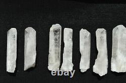 WHOLESALE Pink Danburite Crystals from Mexico 22 pieces 700 grams # 4260