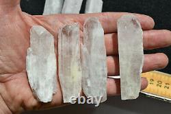 WHOLESALE Pink Danburite Crystals from Mexico 22 pieces 700 grams # 4260