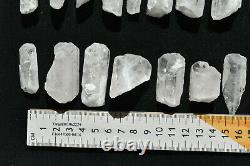 WHOLESALE Pink Danburite Crystals from Mexico 29 pieces 450 grams # 4405