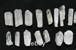 WHOLESALE Pink Danburite Crystals from Mexico 32 pieces 450 grams # 4148