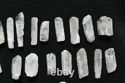 WHOLESALE Pink Danburite Crystals from Mexico 32 pieces 450 grams # 4148