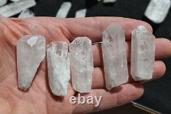 WHOLESALE Pink Danburite Crystals from Mexico 32 pieces 450 grams # 4148