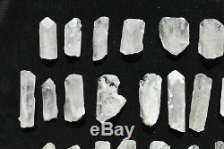 WHOLESALE Pink Danburite Crystals from Mexico 32 pieces 450 grams # 4200