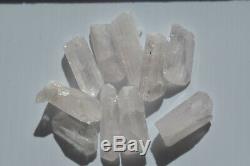 WHOLESALE Pink Danburite Crystals from Mexico 59 pieces 450 grams # 4009