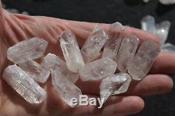 WHOLESALE Pink Danburite Crystals from Mexico 88 pieces 450 grams # 4007