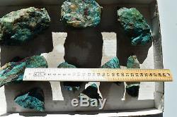 WHOLESALE Shattuckite etc. In Quartz Rough from Namibia 10 pieces 2.4 kg # 6142