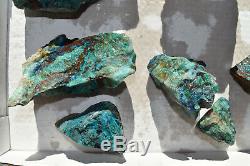 WHOLESALE Shattuckite etc. In Quartz Rough from Namibia 10 pieces 2.4 kg # 6142