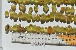 WHOLESALE Yellow Apatite Crystals from Mexico 111 pieces 450 grams # 4230