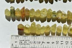 WHOLESALE Yellow Apatite Crystals from Mexico 114 pieces 450 grams # 4317
