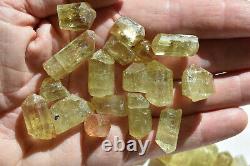 WHOLESALE Yellow Apatite Crystals from Mexico 114 pieces 450 grams # 4317