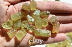 WHOLESALE Yellow Apatite Crystals from Mexico 114 pieces 450 grams # 4317