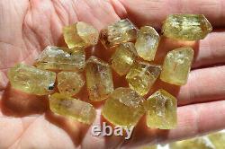 WHOLESALE Yellow Apatite Crystals from Mexico 114 pieces 450 grams # 4317