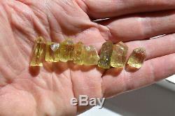 WHOLESALE Yellow Apatite Crystals from Mexico 190 pieces 450 grams # 4155