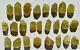 Wholesale Yellow Apatite Crystals From Mexico 25 Pieces 450 Grams # 4152