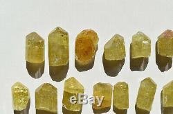 WHOLESALE Yellow Apatite Crystals from Mexico 25 pieces 450 grams # 4152
