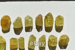 WHOLESALE Yellow Apatite Crystals from Mexico 25 pieces 450 grams # 4152