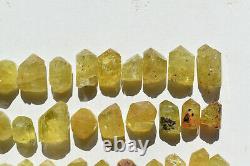 WHOLESALE Yellow Apatite Crystals from Mexico 60 pieces 450 grams # 4265