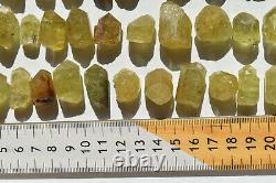 WHOLESALE Yellow Apatite Crystals from Mexico 60 pieces 450 grams # 4265