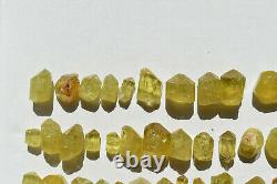 WHOLESALE Yellow Apatite Crystals from Mexico 69 pieces 450 grams # 4264