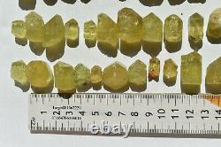 WHOLESALE Yellow Apatite Crystals from Mexico 69 pieces 450 grams # 4264