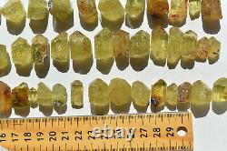 WHOLESALE Yellow Apatite Crystals from Mexico 69 pieces 450 grams # 4264