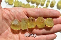 WHOLESALE Yellow Apatite Crystals from Mexico 69 pieces 450 grams # 4264