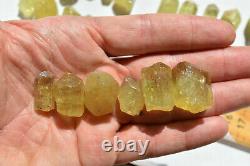 WHOLESALE Yellow Apatite Crystals from Mexico 69 pieces 450 grams # 4264