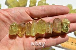 WHOLESALE Yellow Apatite Crystals from Mexico 69 pieces 450 grams # 4264