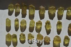 WHOLESALE Yellow Apatite Crystals from Mexico 78 pieces 450 grams # 4006