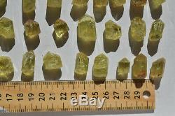 WHOLESALE Yellow Apatite Crystals from Mexico 78 pieces 450 grams # 4006