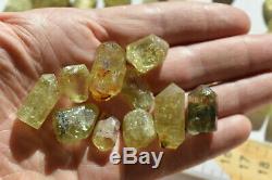 WHOLESALE Yellow Apatite Crystals from Mexico 93 pieces 450 grams # 4080
