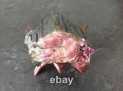 Watermelon Tourmaline Crystal (large very rare piece)