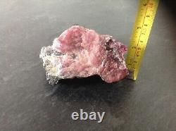Watermelon Tourmaline Crystal (large very rare piece)