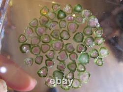 Watermelon tourmaline crystal tiny pieces Afghanistan 53 items 64c SPECIAL OFFER