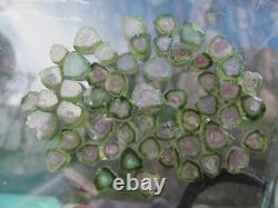 Watermelon tourmaline crystal tiny pieces Afghanistan 53 items 64c SPECIAL OFFER