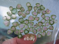 Watermelon tourmaline crystal tiny pieces Afghanistan 53 items 64c SPECIAL OFFER