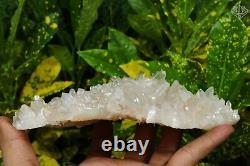 White Samadhi Rare Quartz 557Gram Cluster Stone Healing Rough Crystals Mineral