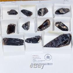 Wholesale Flat 11 pieces Gemmy SMOKY QUARTZ Crystals New Hampshire @$9 for sale