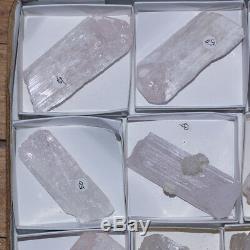 Wholesale Flat Sharp Terminated Pink DANBURITE Crystals 10 pieces @$17 for sale