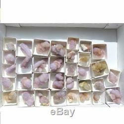 Wholesale Flat of Cactus Spirit Quartz 33 pieces CCflat37