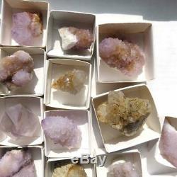 Wholesale Flat of Cactus Spirit Quartz 33 pieces CCflat37