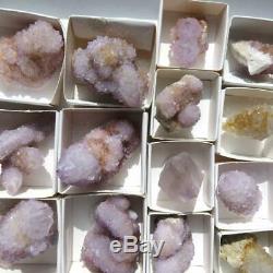 Wholesale Flat of Cactus Spirit Quartz 33 pieces CCflat37