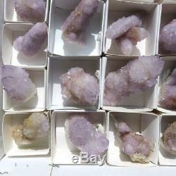 Wholesale Flat of Cactus Spirit Quartz 33 pieces CCflat37