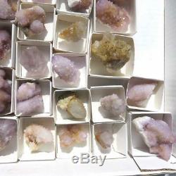 Wholesale Flat of Cactus Spirit Quartz 33 pieces CCflat37