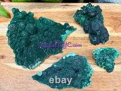 Wholesale Lot 4pcs Natural Malachite Specimens Crystal Raw Healing Energy