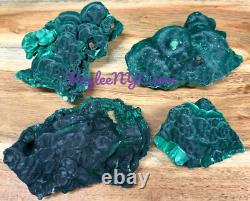 Wholesale Lot 4pcs Natural Malachite Specimens Crystal Raw Healing Energy