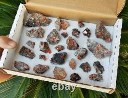 Wholesale Wulfenite Lot 26 Pieces, Red Cloud Mine Arizona Minerals Crystals Gems