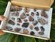 Wholesale Wulfenite Lot 26 Pieces, Red Cloud Mine Arizona Minerals Crystals Gems