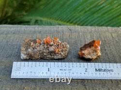 Wholesale Wulfenite Lot 26 Pieces, Red Cloud Mine Arizona Minerals Crystals Gems