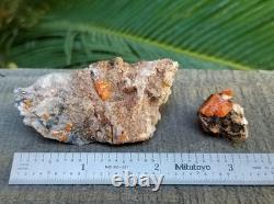 Wholesale Wulfenite Lot 26 Pieces, Red Cloud Mine Arizona Minerals Crystals Gems